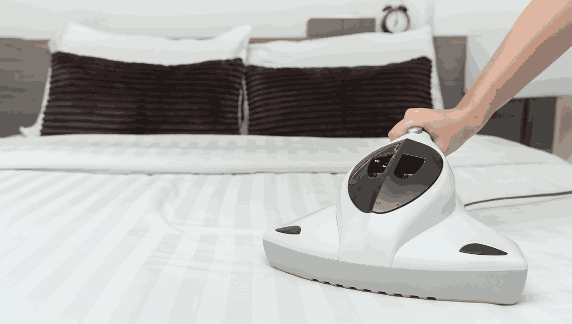 Professional Mattress Cleaning Rosebud